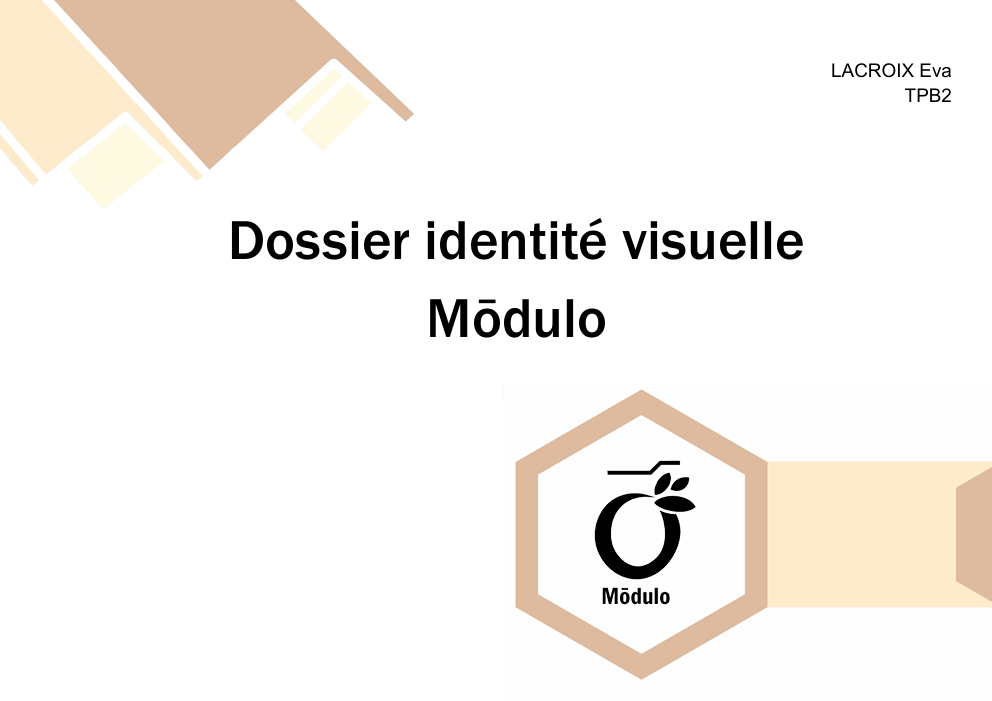 visuel principal Mōdulo – Identité visuelle d’une marque de mobilier modulable
